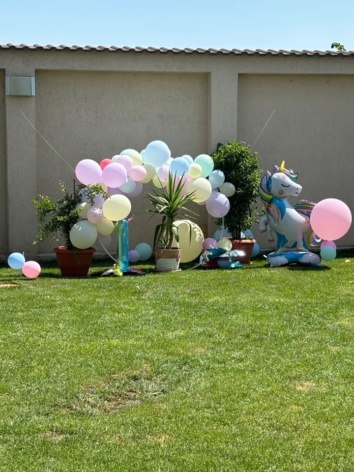 Vila Party Lux - Piscină exterioară și zonă de lounge Ilfov